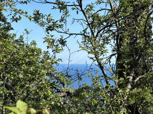 Миниатюра 9, Участок под коммерцию на ЮБШ, 15 соток, Крым Республика, Гурзуф п.г.т., Ялтинская ул.