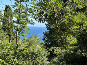 Миниатюра 10, Участок под коммерцию на ЮБШ, 15 соток, Крым Республика, Гурзуф п.г.т., Ялтинская ул.