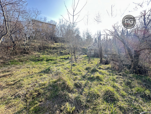 Участок рядом с ЮБШ, 9 соток, Крым Республика, Гурзуф п.г.т., Гурзуфское ш.