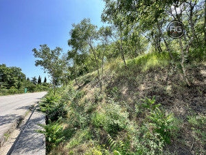 Миниатюра 8, Участок рядом с ЮБШ, 9 соток, Крым Республика, Гурзуф п.г.т., Гурзуфское ш.