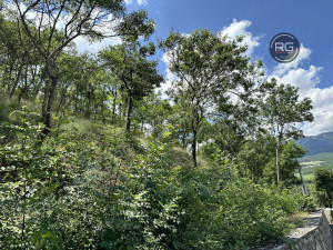 Миниатюра 10, Участок рядом с ЮБШ, 9 соток, Крым Республика, Гурзуф п.г.т., Гурзуфское ш.