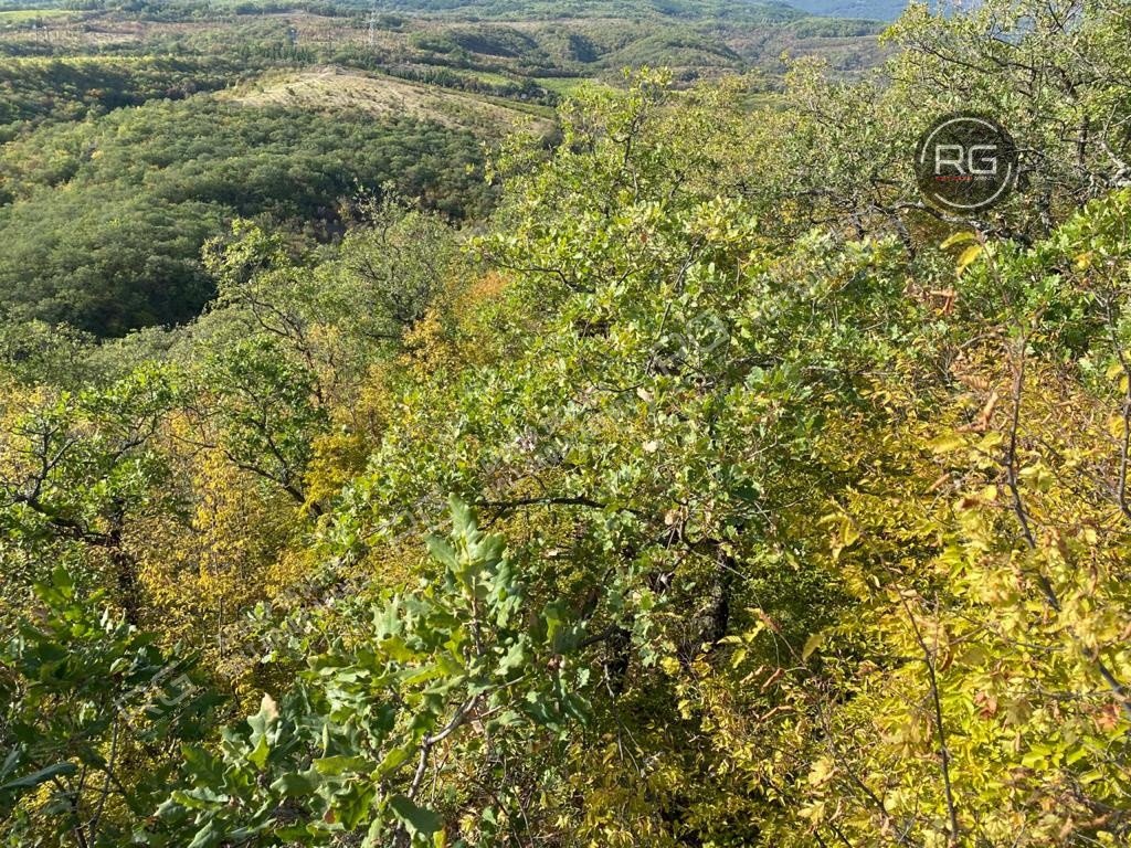   Участок с панорамным видом, 10 соток 