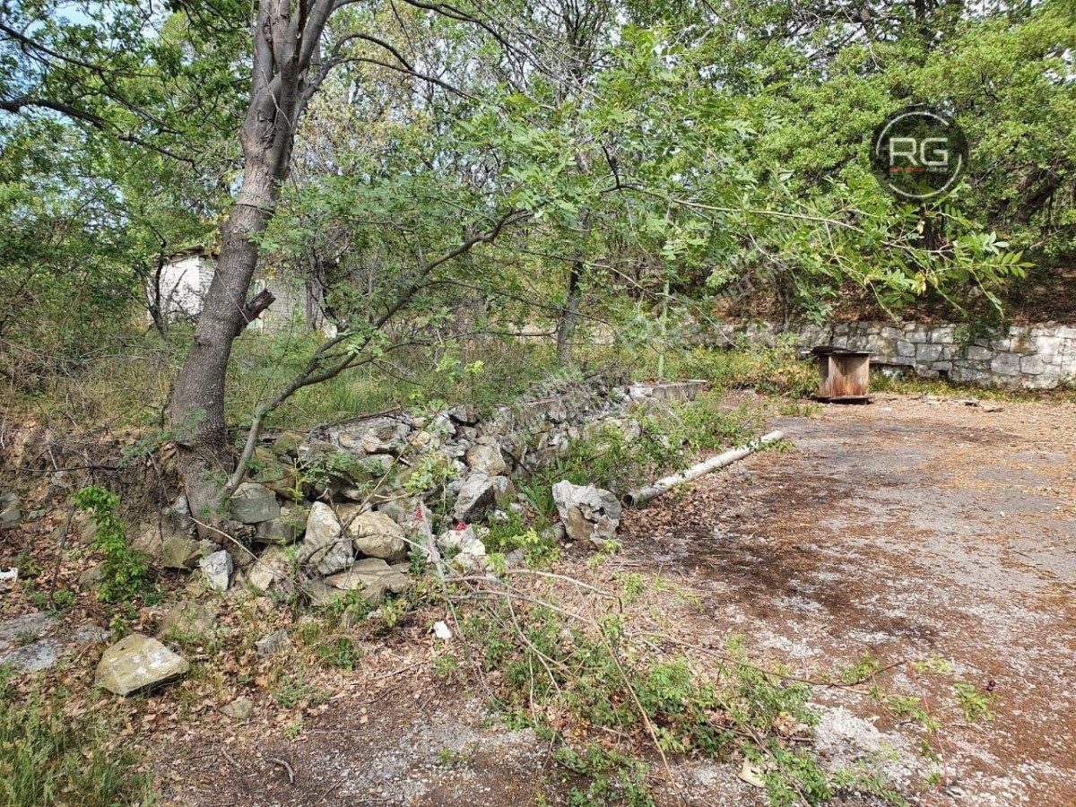 Миниатюра 11, Участок у моря в Гурзуфе, 15 соток, Крым Республика, Ялта г., Пушкина наб.