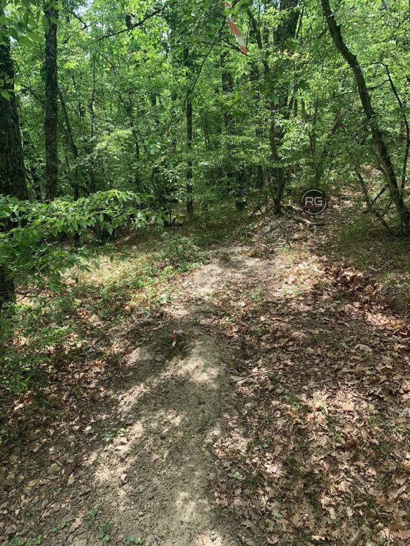 Фото 1, Участок в чаще леса, 14 соток, Крым Республика, Ялта г., Краснокаменка п.г.т., Фрунзе пер., д.35