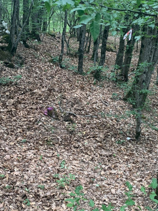 Участок в чаще леса, 14 соток, Крым Республика, Ялта г., Краснокаменка п.г.т., Фрунзе пер., д.35