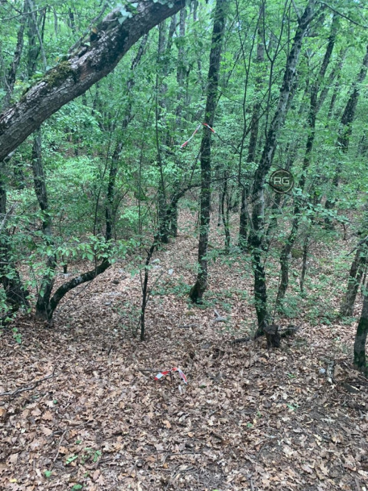 Участок в чаще леса, 14 соток, Крым Республика, Ялта г., Краснокаменка п.г.т., Фрунзе пер., д.35