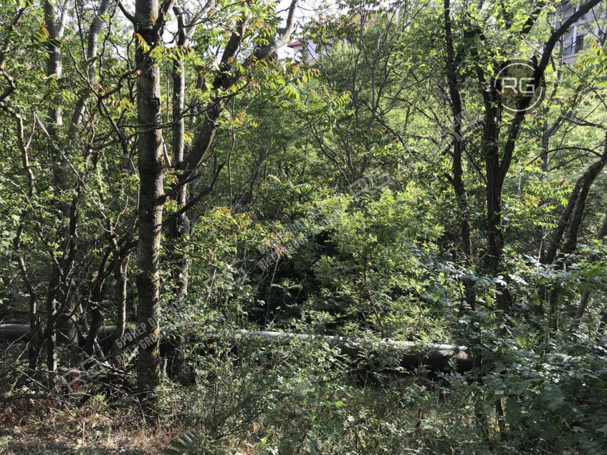 Миниатюра 5, Участок в Гурзуфе, 32 сотки, Крым Республика, Ялта г., Ялтинская ул., д.31