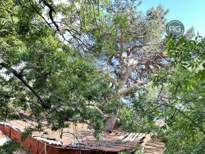 Миниатюра 3, Участок в Крыму в Кастрополе, 11 соток, Крым Республика, Ялта г., Береговое п.г.т.