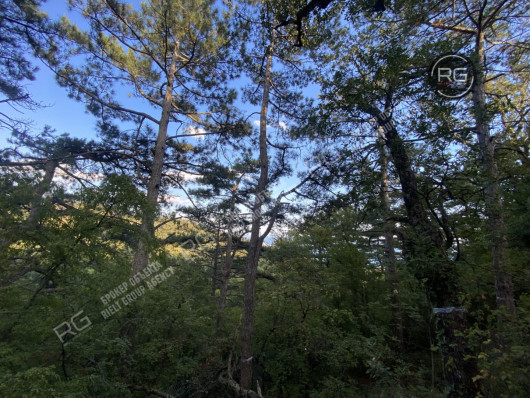 Участок в Восходе, 15 соток, Крым Республика, Ялта г., Восход п.г.т., Авроры ул., д.1б