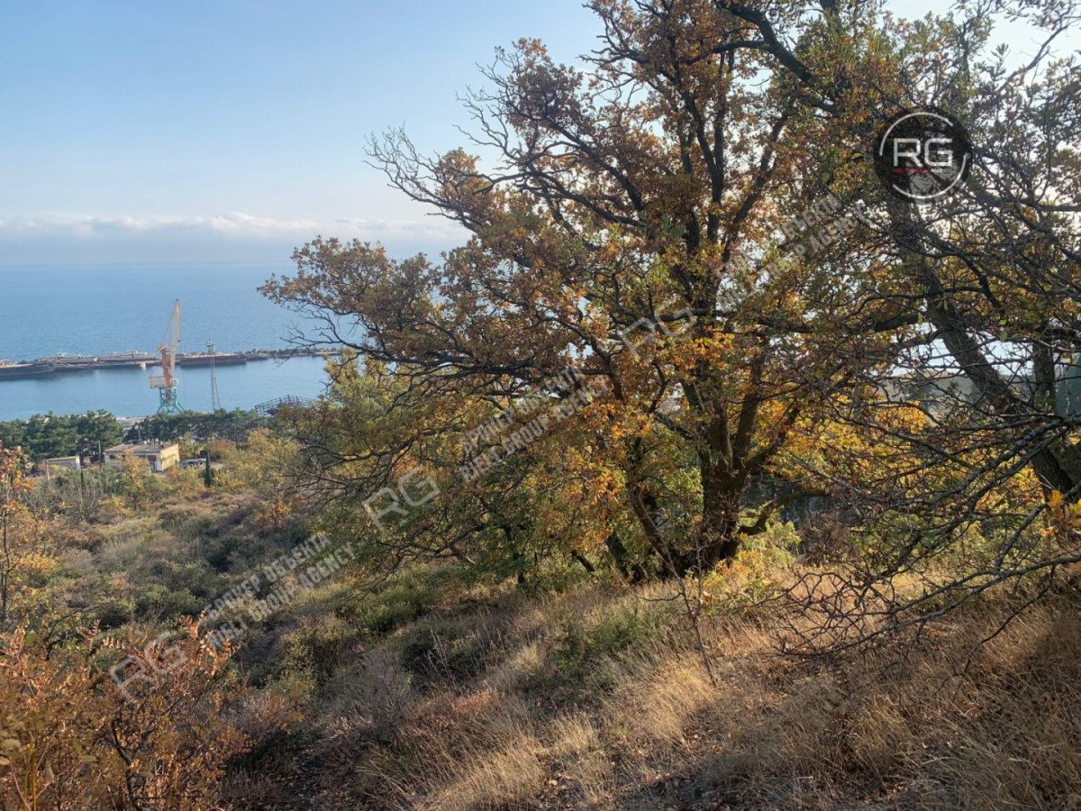 Миниатюра 6, Видовой участок у моря 50 сот. (ИЖС), 50 соток, Крым Республика, Ялта г.