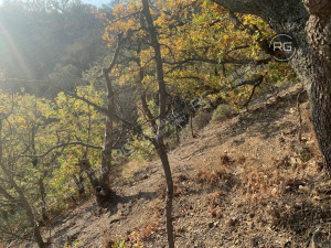 Миниатюра 7, Видовой участок у моря 50 сот. (ИЖС), 50 соток, Крым Республика, Ялта г.