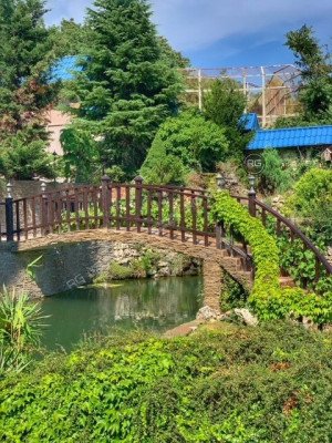 Миниатюра 11, Живописное место. Уникальный проект., 611 м², Крым Республика, Ялта г., Большевистская ул., д.25